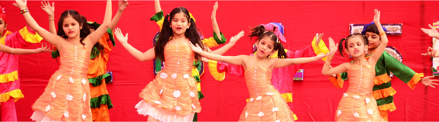 Merry Land Convent School Mandi Dabwali