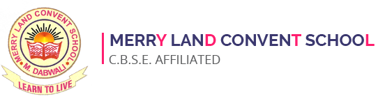 Merry Land Convent School Mandi Dabwali